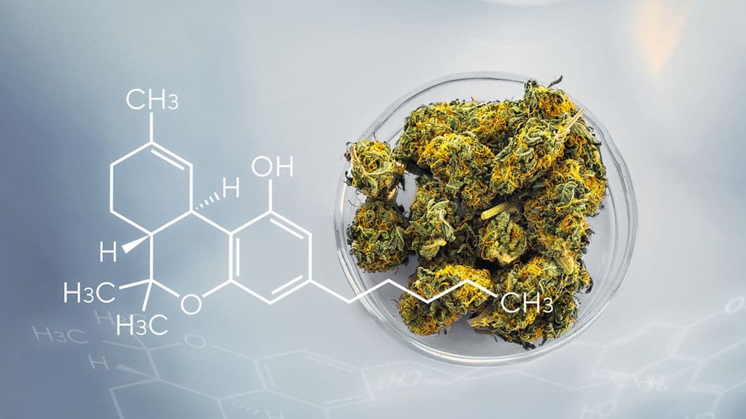 ScientificEdge Application